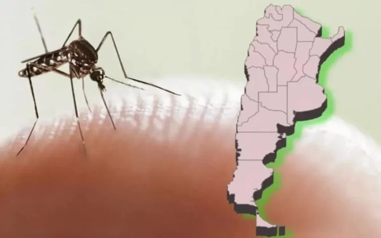 El Gobierno respalda al Ministro de Salud ante crisis de dengue El Gobierno respalda al Ministro de Salud ante crisis de dengue