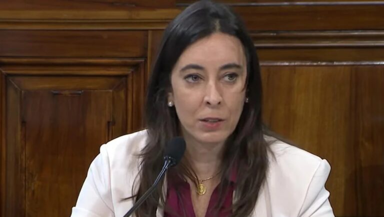 Milei le pidió la renuncia a Sonia Cavallo como embajadora en la OEA